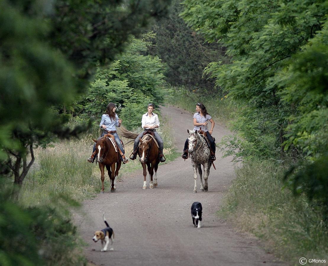 El Bronco Working Ranch Izsák 외부 사진