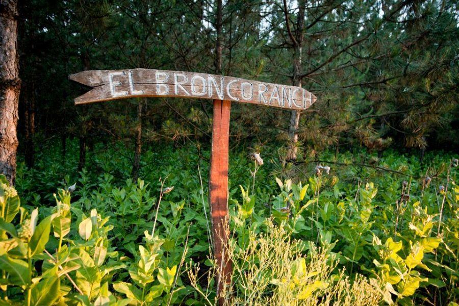 El Bronco Working Ranch Izsák 외부 사진
